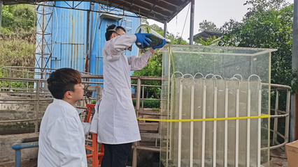 守初心 擔(dān)使命 跨學(xué)科團(tuán)隊(duì)驅(qū)動(dòng)清潔能源科技突破