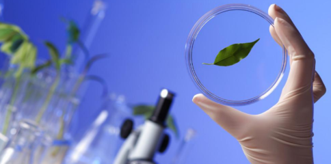 聚焦生命科學(xué)前沿 知名生物學(xué)期刊與自然科學(xué)研究的發(fā)展