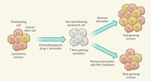 探索自然奧秘 自然科學研究的重大發現與深遠意義
